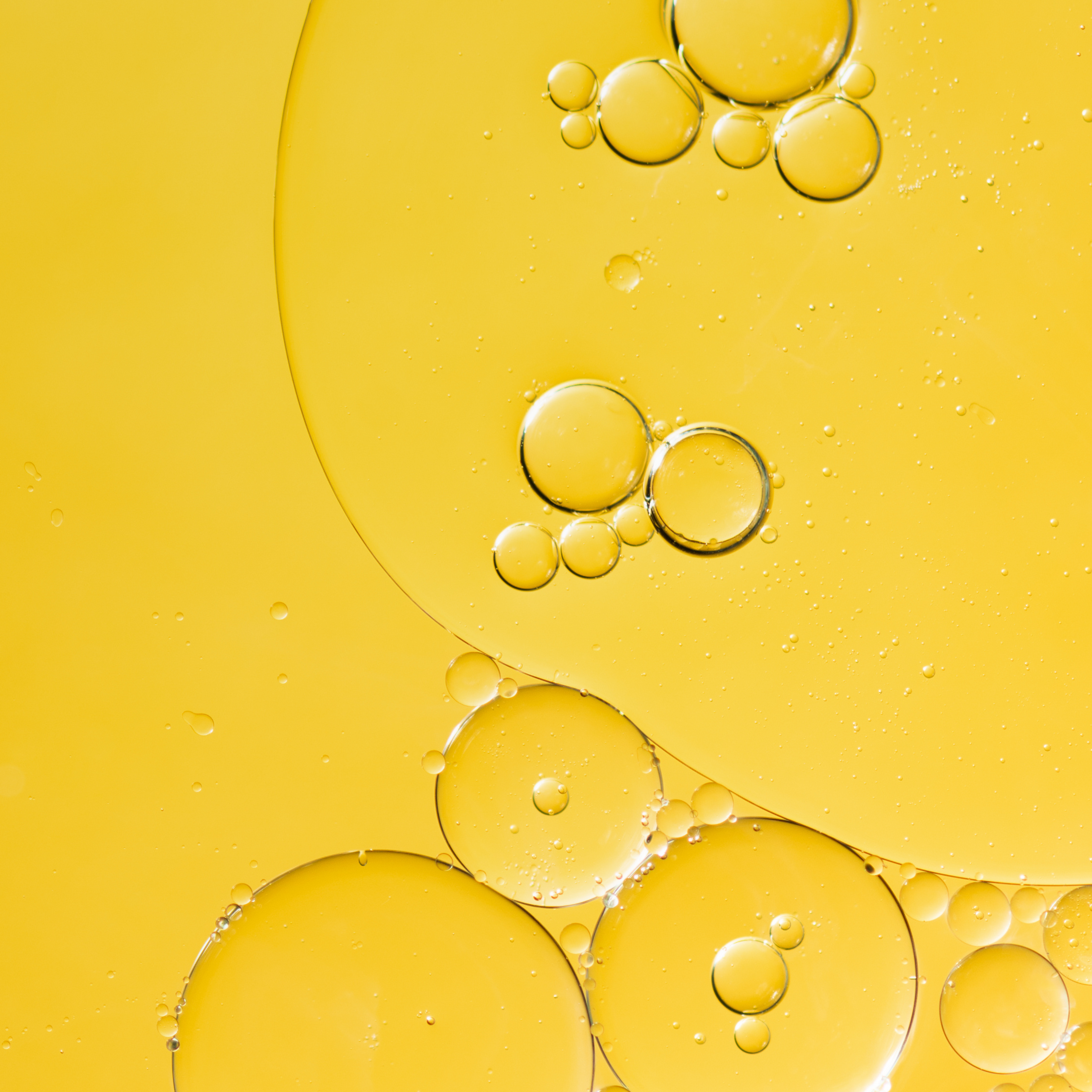 Close-up of oil bubbles on a yellow liquid surface of Ferulic Acid, one of Radiant Shield's powerful ingredients